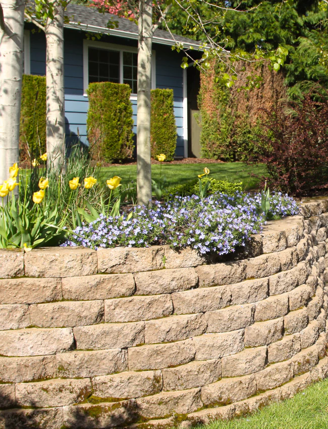 retaining wall in the backyard